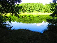 Rybník Výskyt (Hradec Králové)