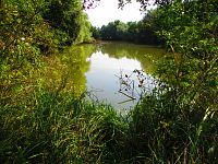 Černé jezero (Hradec Králové)