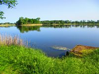 Újezdský rybník (Újezd u Sezemic)