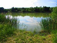 Rybník Frešle (Librantice)