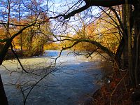 Staré Labe u Třebše (Hradec Králové)