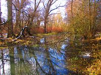 Staré Labe u Třebše (Hradec Králové)