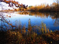 Správčický písník (Hradec Králové/Předměřice nad Labem)