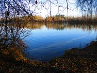 Správčický písník (Hradec Králové/Předměřice nad Labem)