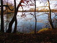 Správčický písník (Hradec Králové/Předměřice nad Labem)