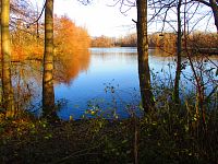 Správčický písník (Hradec Králové/Předměřice nad Labem)