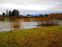 Řeka Orlice pod mostem ve Svinarech (Hradec Králové)