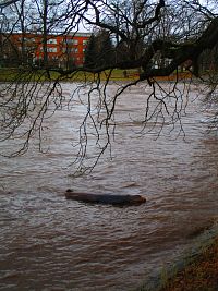 Jiráskovy sady (Hradec Králové)