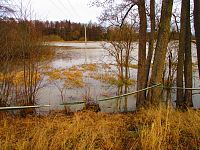 Louky u Malšovy Lhoty (Hradec Králové)