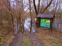 Slepé rameno Orlice u Stříbrného rybníka (Hradec Králové)