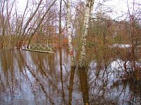 Slepé rameno Orlice u Stříbrného rybníka (Hradec Králové)