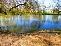 Obecní rybník (Hubenice)