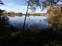 Rybník Medříč (Smidary)