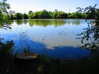 Chlumecký rybník (Chlumec nad Cidlinou)