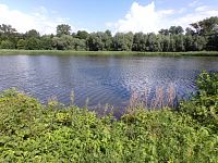 Tichý rybník (Lázně Bohdaneč)