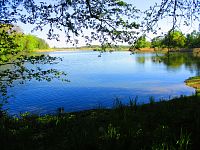 Bohdanečský rybník (Lázně Bohdaneč)