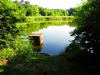 Hlinský rybník (Petrovice nad Orlicí)