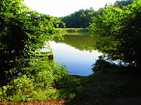 Hlinský rybník (Petrovice nad Orlicí)