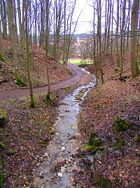 Čertova rokle (Brandýs nad Orlicí)