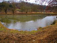 Rybník U Jána (Brandýs nad Orlicí)