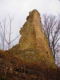 Zřícenina hradu (Brandýs nad Orlicí)