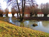 Potok Trotina (Lochenice)