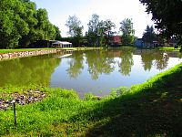 Obecní rybník (Stéblová)