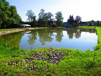 Obecní rybník (Stéblová)