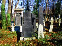Nový židovský hřbitov na Olšanech (Praha)