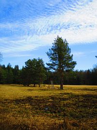 Mazurovy chalupy (Hoděšovice)