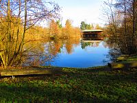 Park Na Špici (Pardubice)