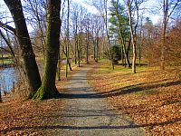 Park Vinice (Pardubice)