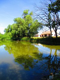 Vrškovský rybník (Libišany)