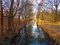 Malý Labský náhon mezi Temešvárem a Březhradem (Hradec Králové)