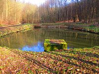 Rybník U studánky v lese (Libčany)