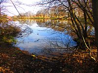 Horní rybník (Nasavrky)