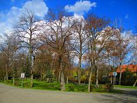 Park v Karlíně (Opatovice nad Labem)