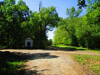 Les Bohra (Brocno)