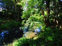 Staré koryto řeky Labe (Předměřice nad Labem)