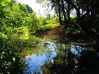 Staré koryto řeky Labe (Předměřice nad Labem)