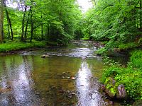 Řeka Doubrava (Třemošnice)