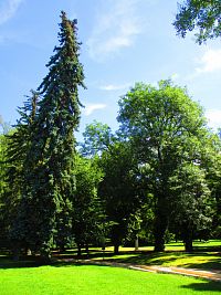 Lázeňský park (Poděbrady)