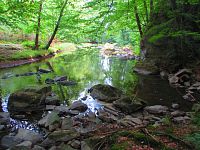 Údolí řeky Doubravy mezi Třemošnicí a Pařížovem (Třemošnice)