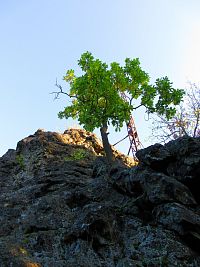 Skalka (Nový Bor)