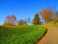 Suchý poldr "Nad koupalištěm" (Sendražice)