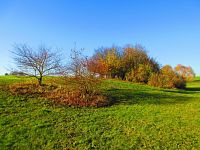 Suchý poldr "Nad koupalištěm" (Sendražice)