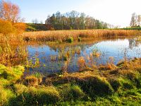 Suchý poldr "Nad koupalištěm" (Sendražice)