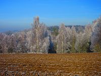 Hrobka (Ohnišov)