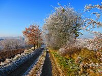 Cesta k Hrobce (Ohnišov)