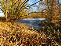 Farské jezero (Hradec Králové)